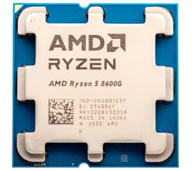 AMD Six Core Ryzen 5 8600G Tray